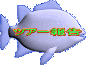 �c�A�[�� 